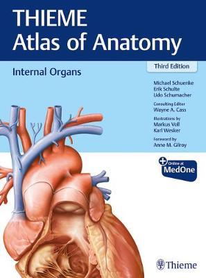 Internal Organs (THIEME Atlas of Anatomy) 3rd Edition - 9781626237209